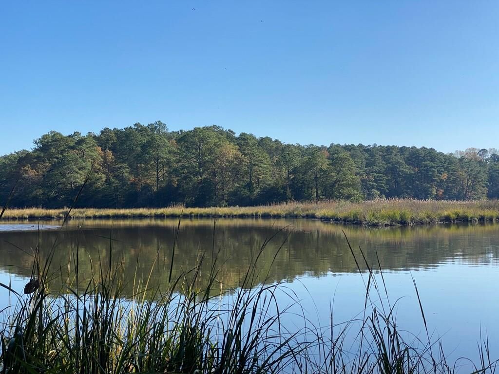 Property Photo:  Lot 2 Terrapin Station Rd  VA 23306 