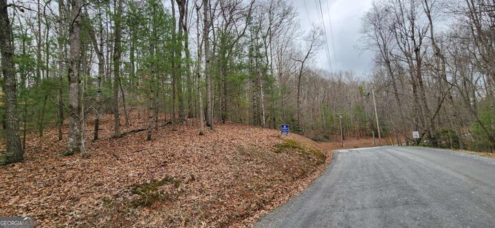Property Photo:  Lot 13 Mangums Trail  GA 30513 