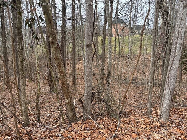 Property Photo:  0 A Stones Throw 16,23,26  WV 25177 