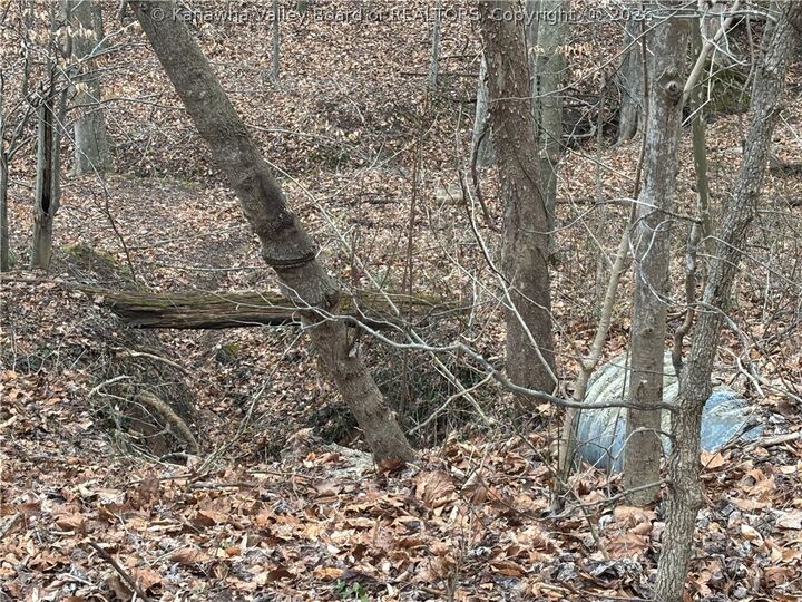 Property Photo: 0 A Stones Throw 16,23 WV 25177