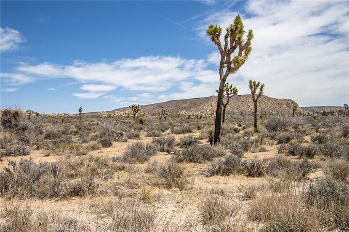 Property Photo:  2800 Balsa  CA 92284 