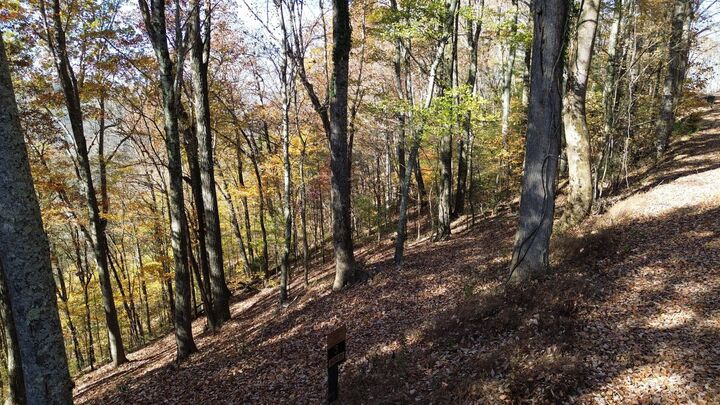 Property Photo:  0 Savannah Dr  TN 37166 