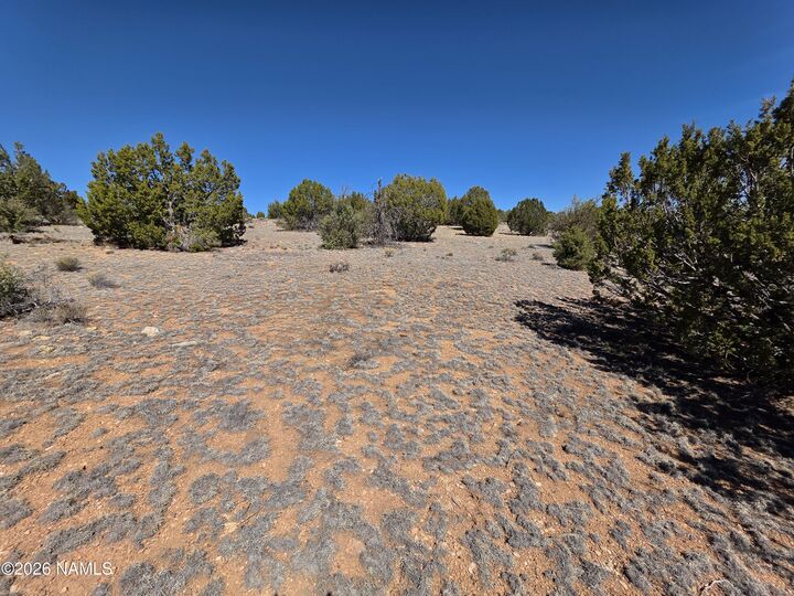 Property Photo:  8299 W Clear Fork Loop  AZ 86046 