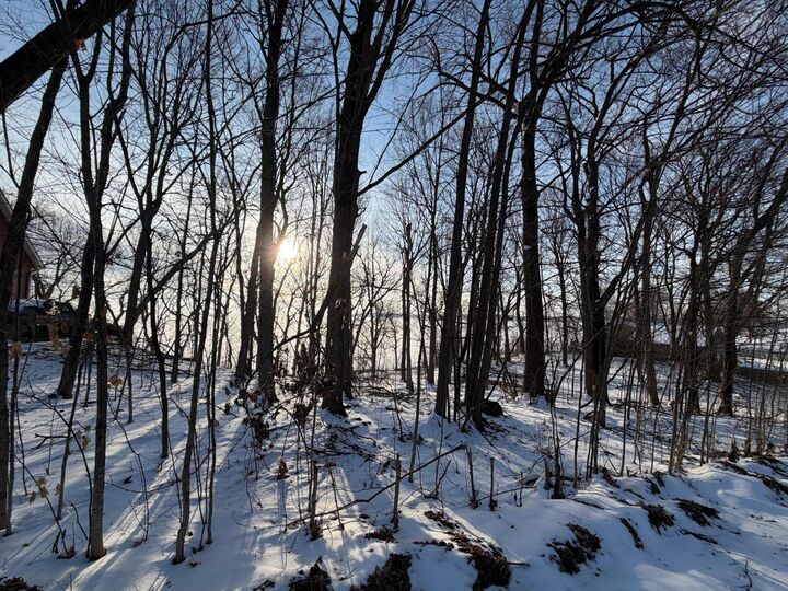 Property Photo:  Lot 37&Amp38 Earle Brown Drive  MN 56450 