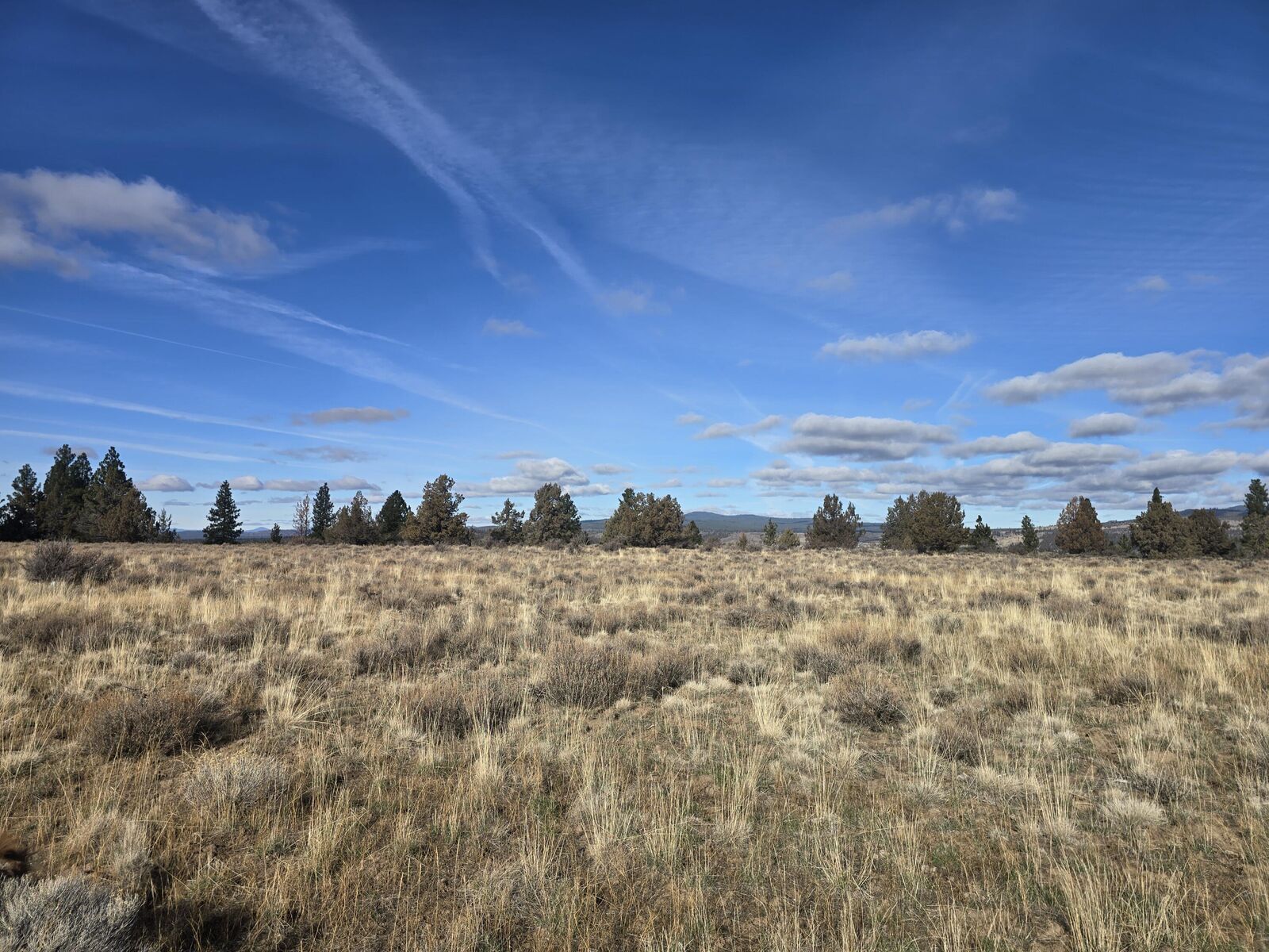 Property Photo:  Tableland Road 0  OR 97639 