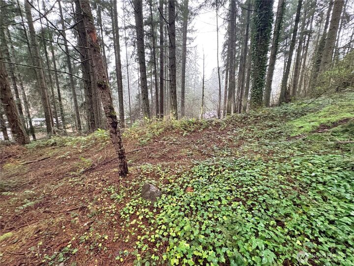 Property Photo:  22020  Clearlake Boulevard SE  WA 98597 