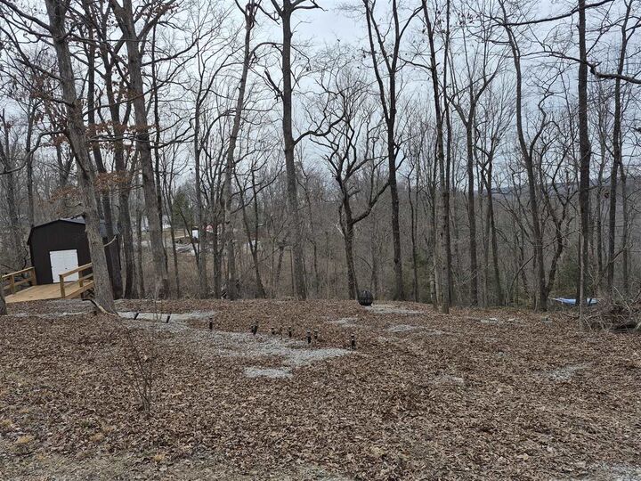 Property Photo:  144 Briarwood Drive  KY 42259 