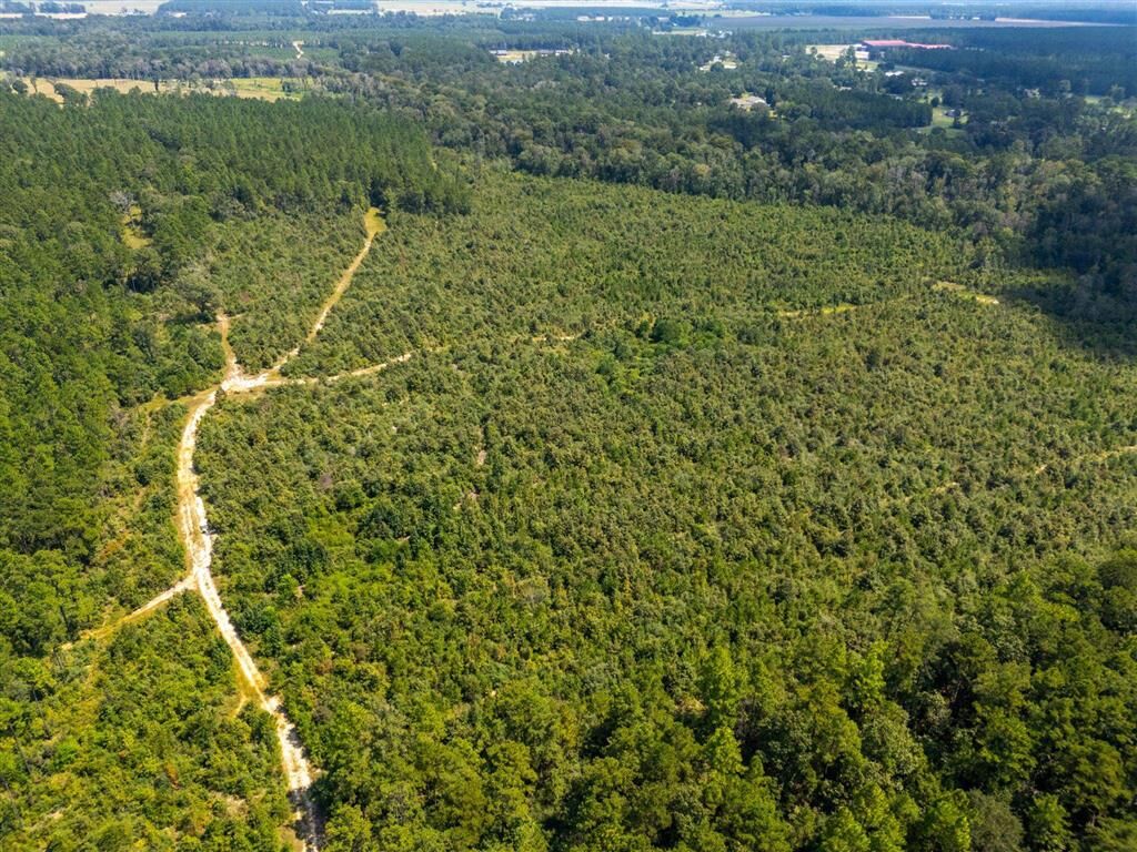 Property Photo:  0 Paul McMillian Road  LA 70634 