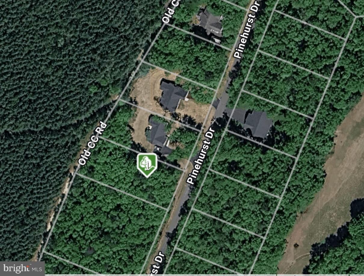 Property Photo:  Lot 206 Pinehurst Drive  VA 22942 