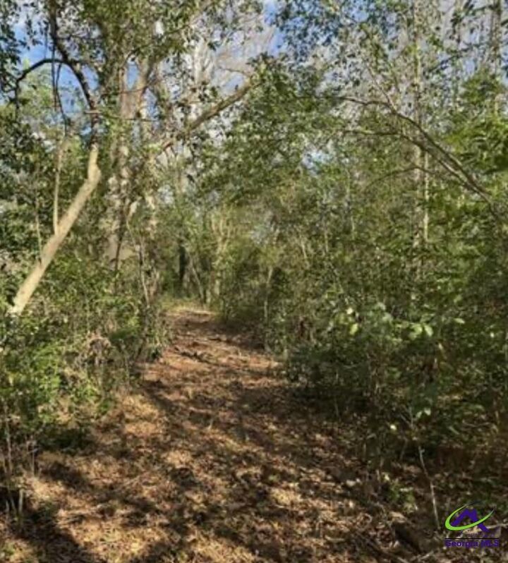 Property Photo:  0000 South Street Aka Market Street  GA 31057 