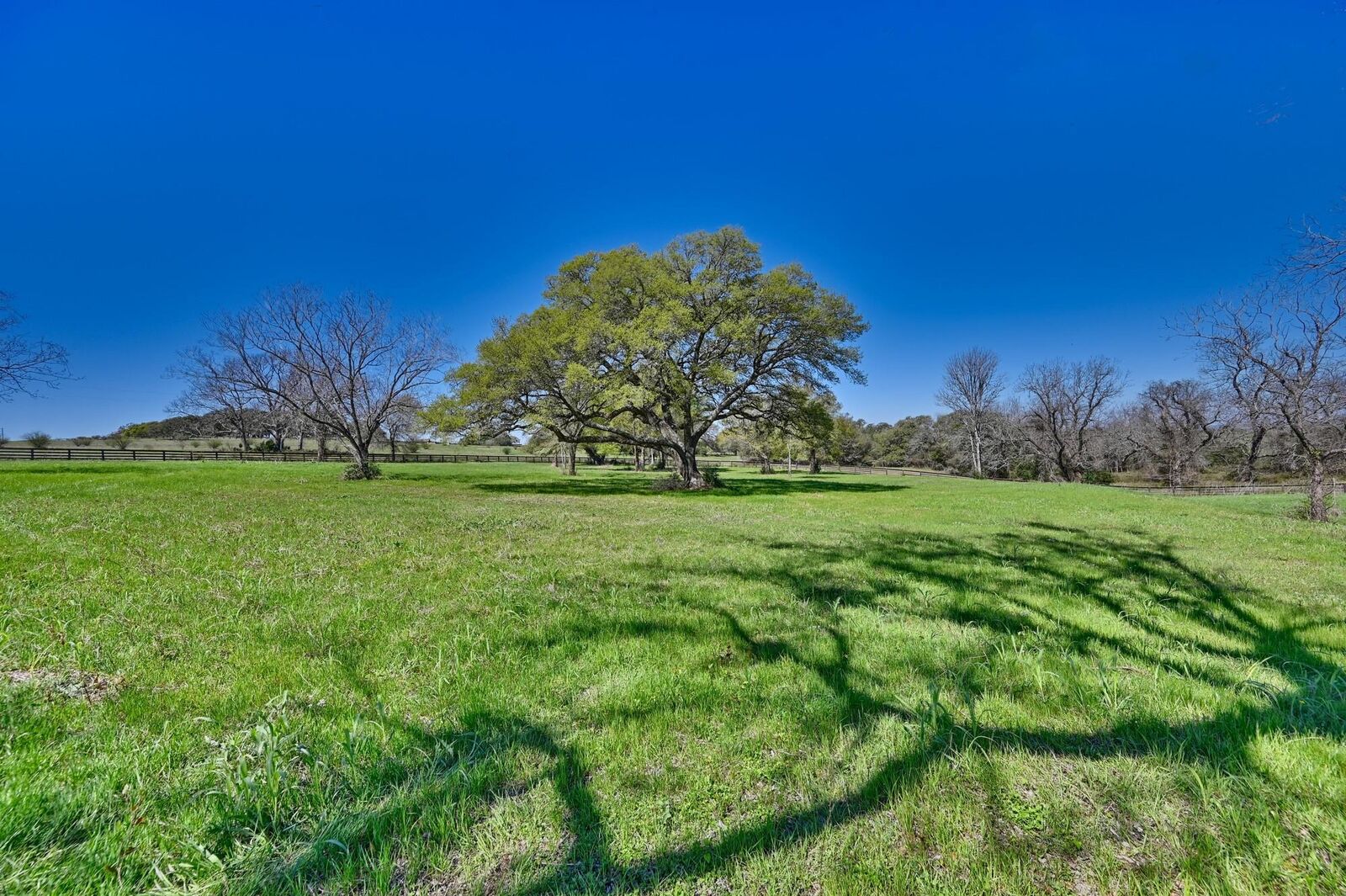 Property Photo:  1800 Fm 390 W  TX 77833 