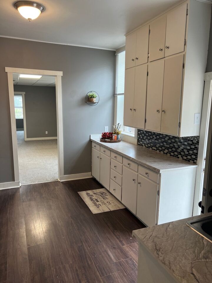 Property Photo:  590 E Division Street 1A  IL 60416 