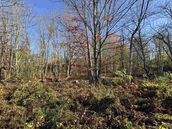 Property Photo: 0 Route 25C NH 03779