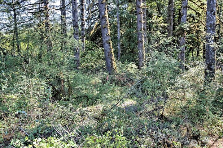 Property Photo: 15501 N US Highway 101 WA 98584