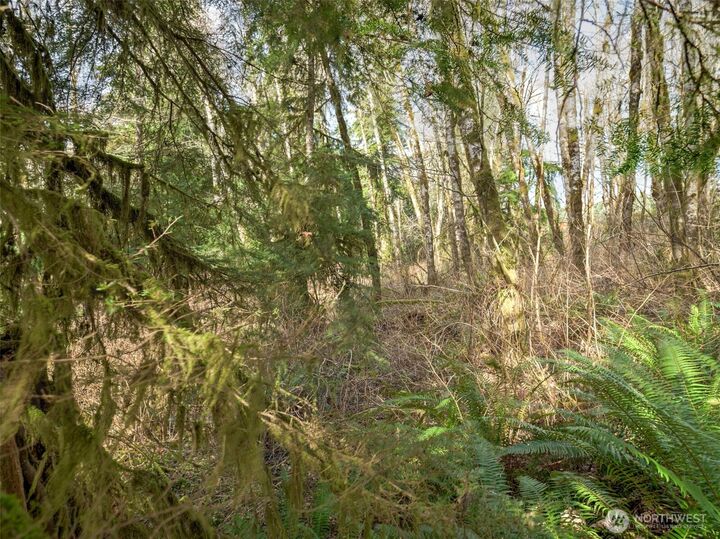 Property Photo:  0 W Belfair Valley Road  WA 98312 
