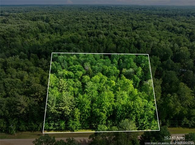 Property Photo:  #0015 V/L Birch Lane  MI 48768 