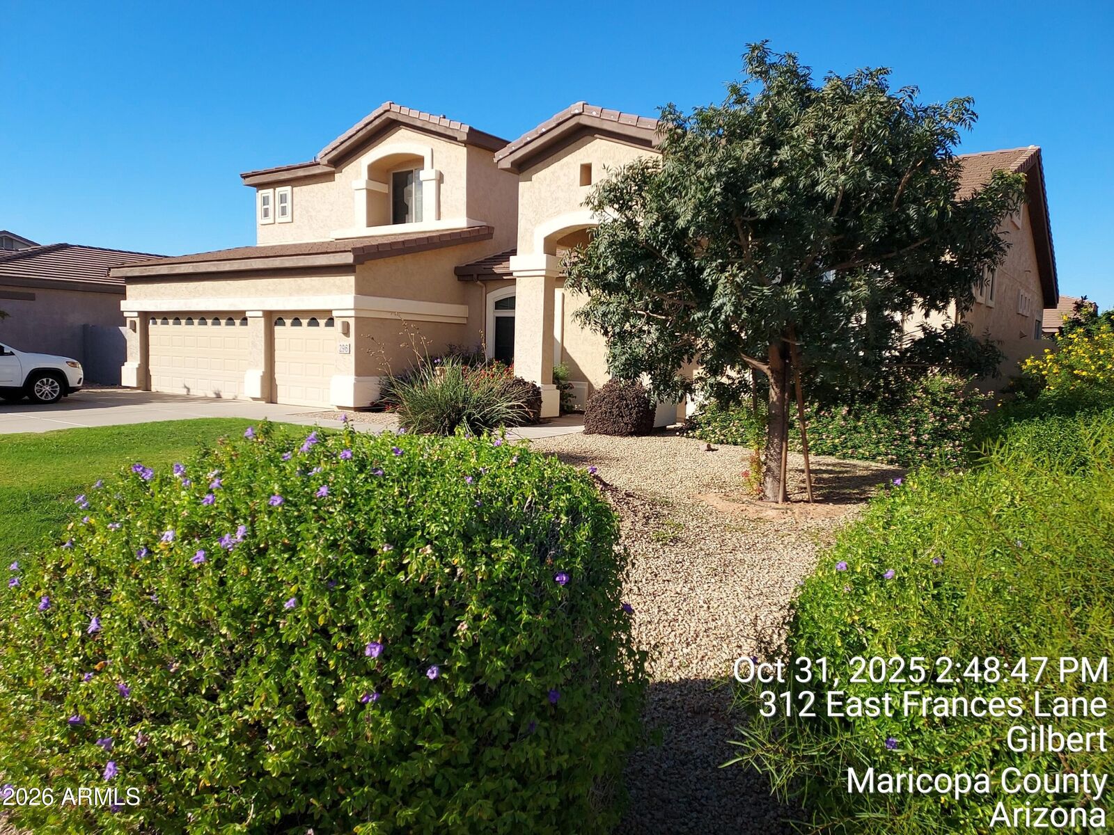 Property Photo:  296 E Frances Lane  AZ 85295 