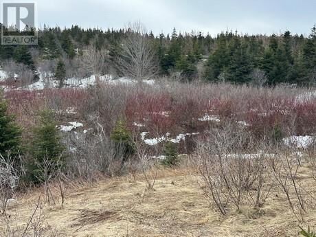 Property Photo:  9-21 Cottors Street  NL A1Y 1A7 