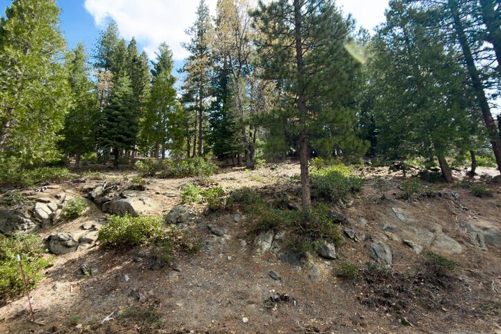 Property Photo:  7486 Henness Ridge  CA 95389 