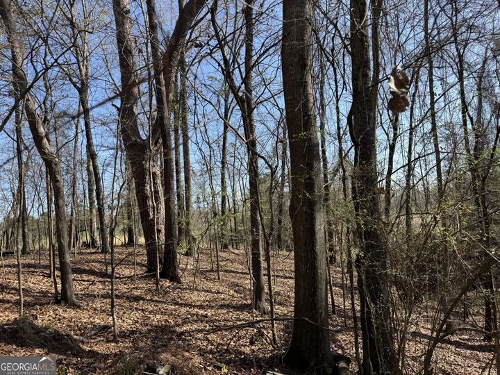 Property Photo: 1978 Wood Valley Road GA 31211