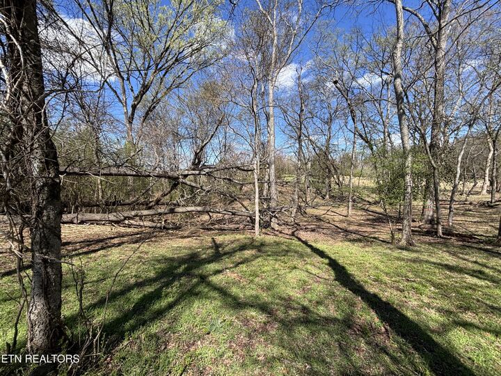 Property Photo:  E Shore Drive  TN 37854 