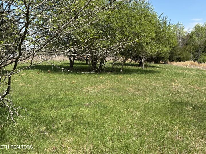 Property Photo: E Shore Drive TN 37854