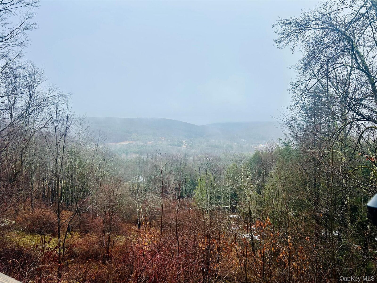 Property Photo:  395 Back Shandelee Road  NY 12758 