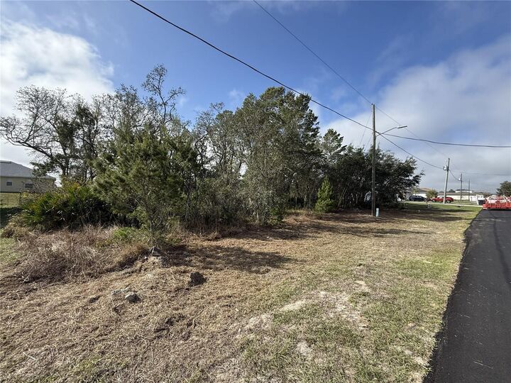 Property Photo:  216 Elm Court  FL 34759 