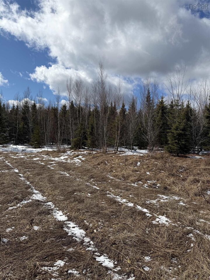 Property Photo:  25 Acres Lake Road  NS B6L 1G5 