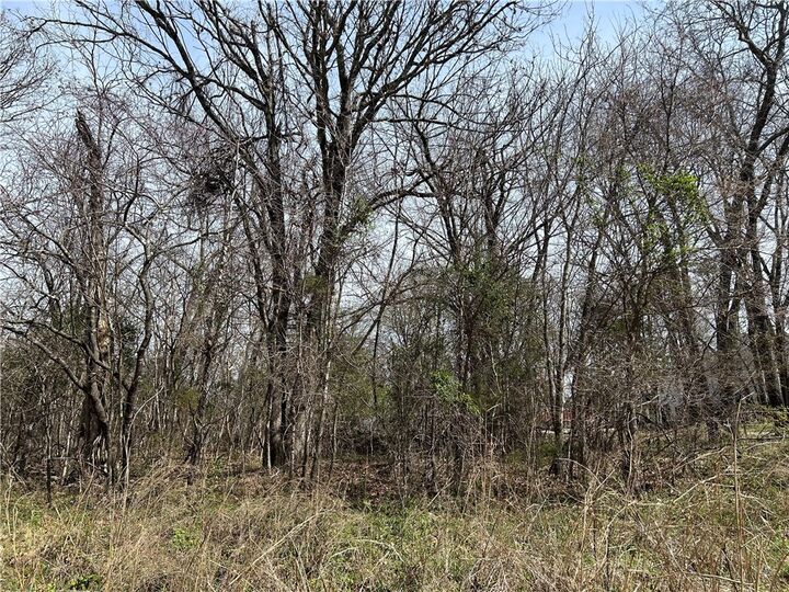 Property Photo: Tbd Trammell (Lot 6) Drive AR 72745