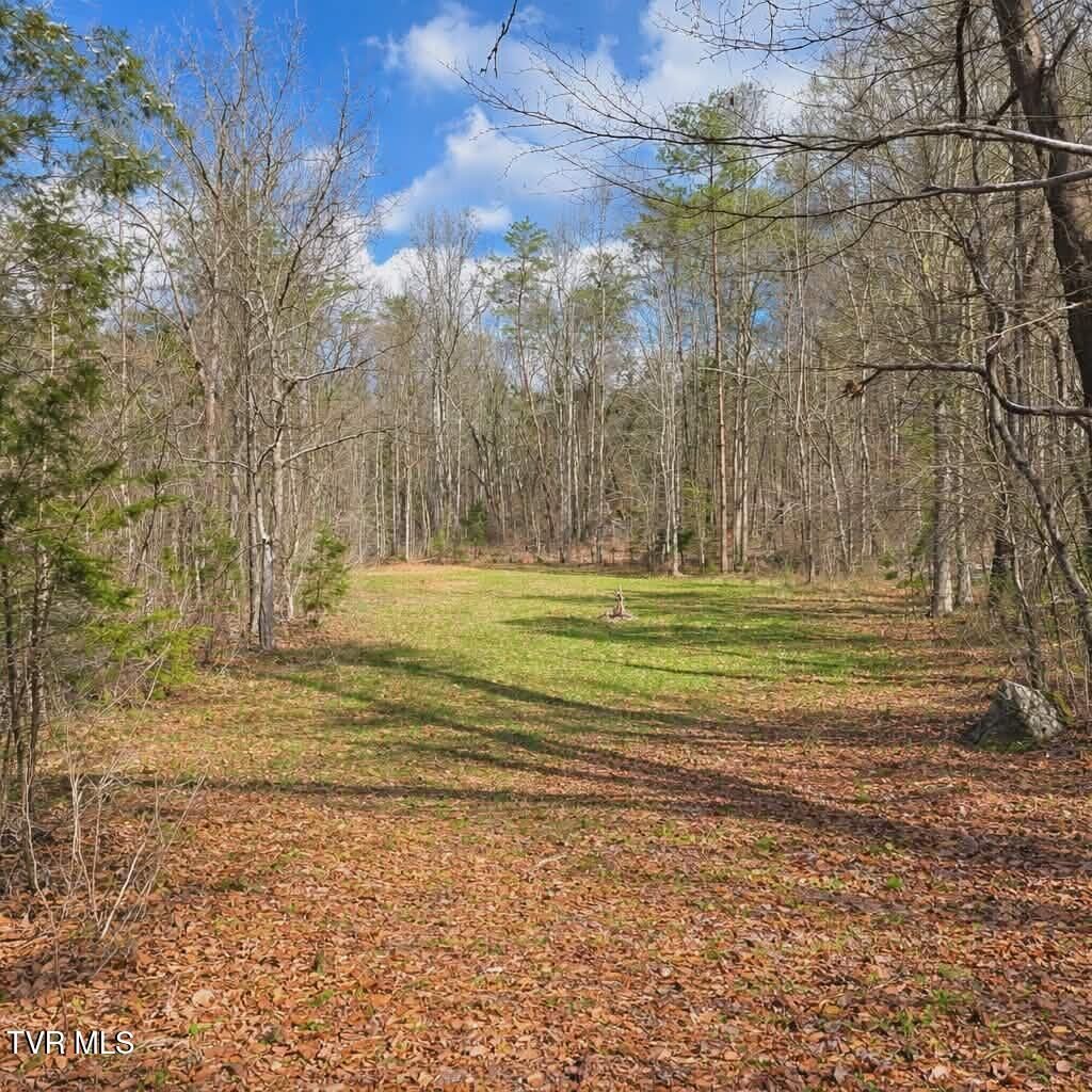Property Photo: 000 Byrd Creek TN 37869