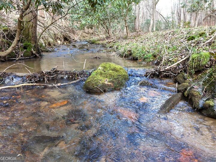 Property Photo: Lot 44B Synacia Drive GA 30559