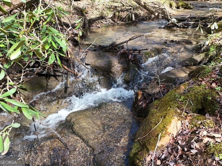 Property Photo:  Lot 44A Synacia Drive  GA 30559 