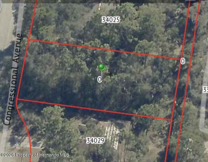 Property Photo:  34027 Congressional Avenue  FL 33523 