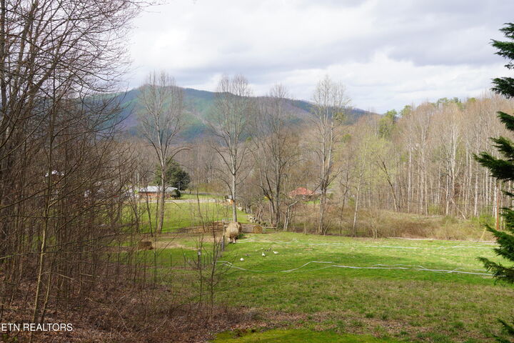 Property Photo:  994 Emilyville Way  TN 37722 