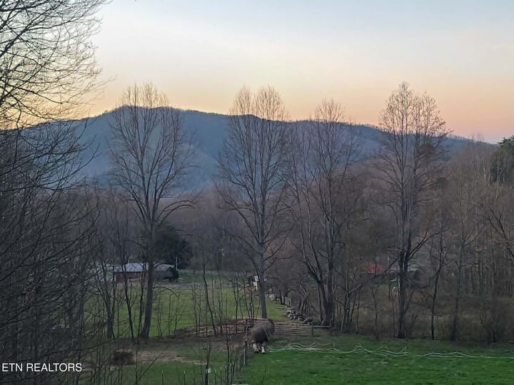 Property Photo: 994 Emilyville Way TN 37722