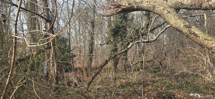 Property Photo:  Vl(36) Mastic Boulevard  NY 11950 