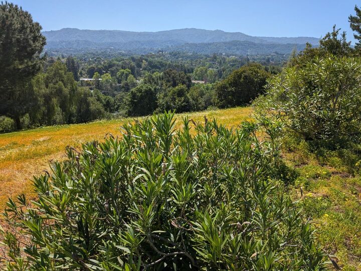 Property Photo:  0 Ruth Lee Court  CA 94024 