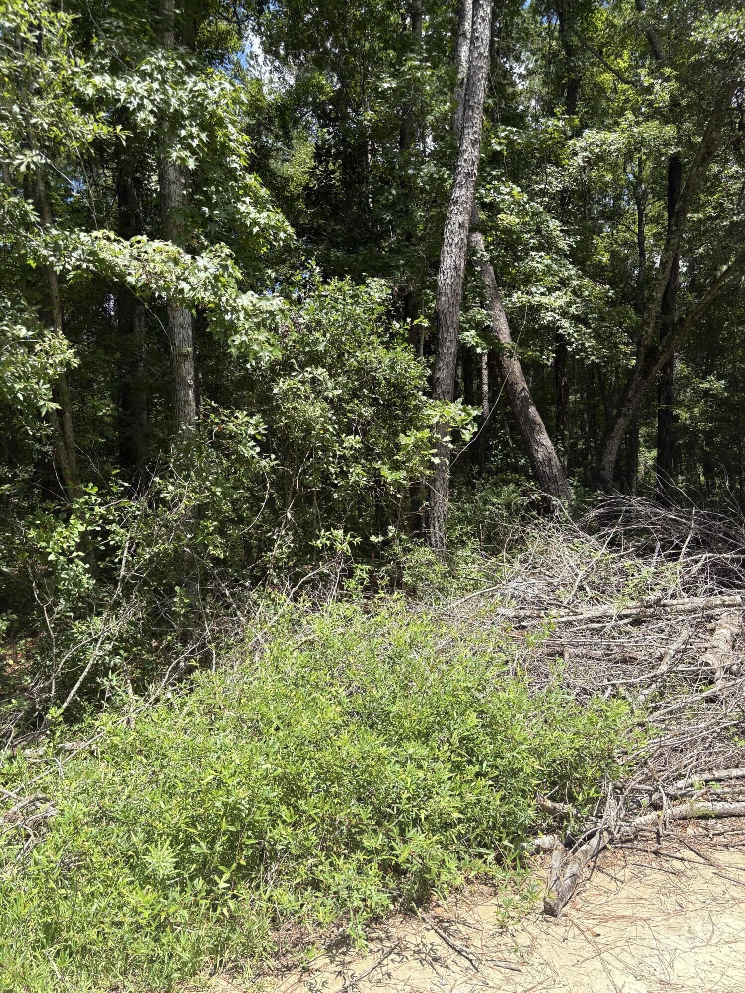 Property Photo: 0 University Drive Lot 223 SC 29418