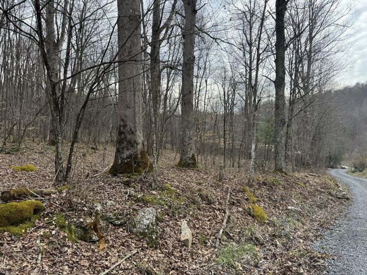 Property Photo:  Sugar Camp Rd  WV 26205 
