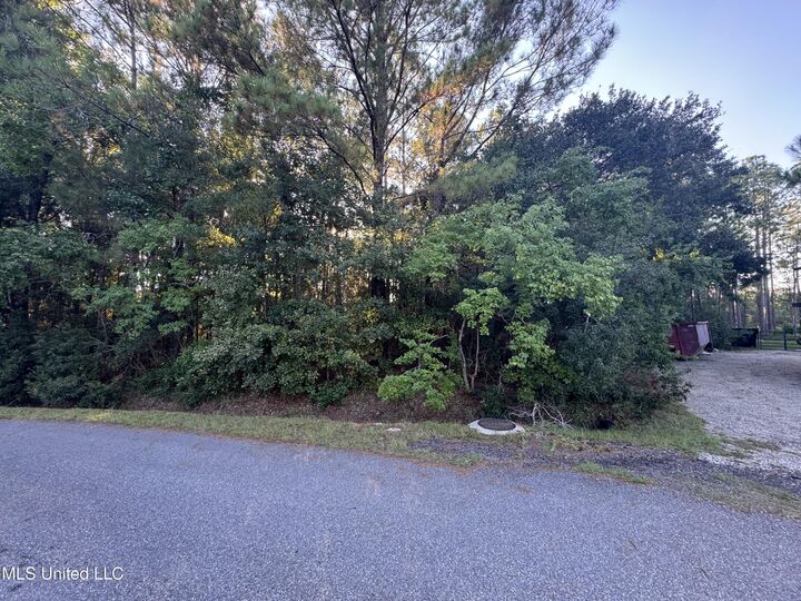 Property Photo:  9079 Iris Street  MS 39520 