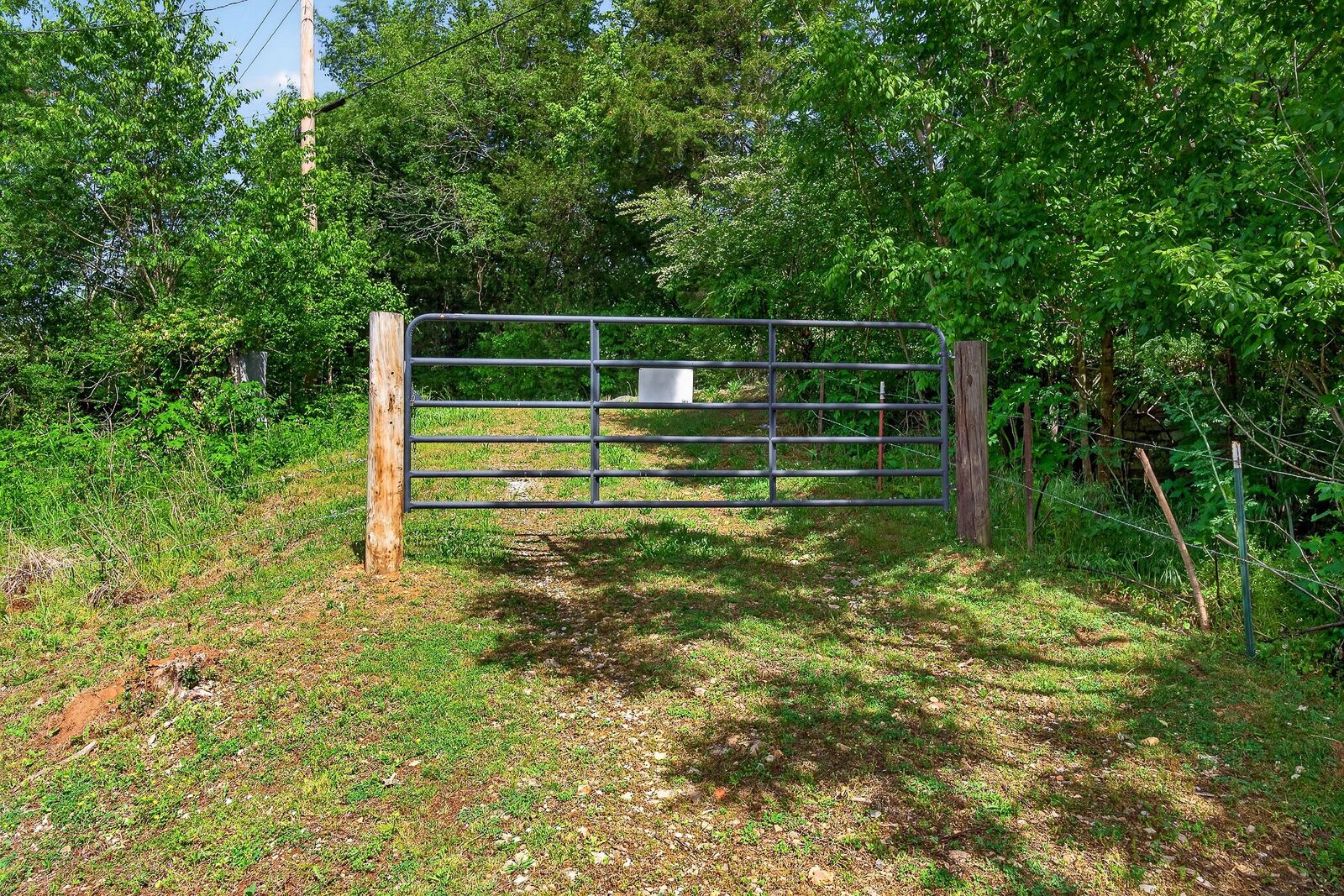 Property Photo:  3754 Alexandria To Dismal Rd  TN 37095 