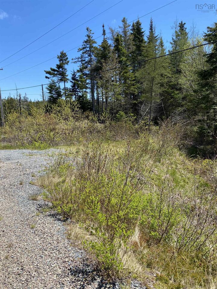 Property Photo:  Lot Port Bickerton Road  NS B0J 1A0 