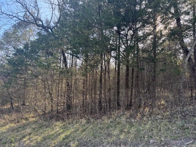 Property Photo: 1 Table Rock/Cottonwood Drive AR 72631