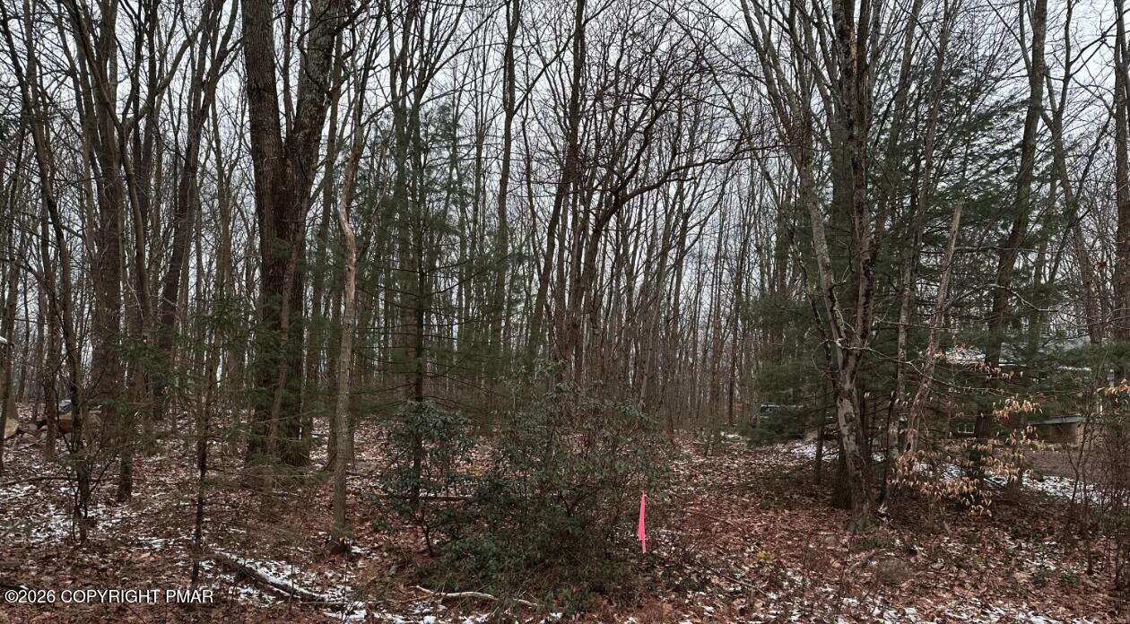 Property Photo: Black Bear Pass PA 18661