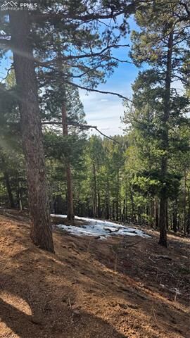 Property Photo:  321 Tillicum Trail  CO 80863 