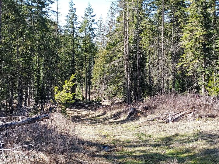 Property Photo: 574 Dorning Dr ID 83861