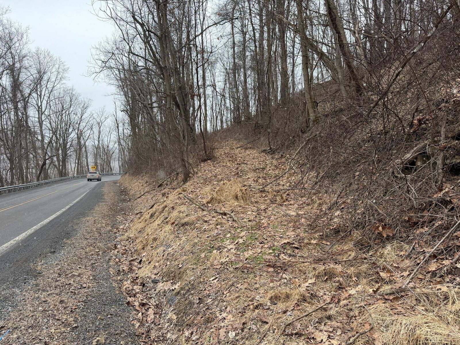 Property Photo:  N Route 219  WV 24966 