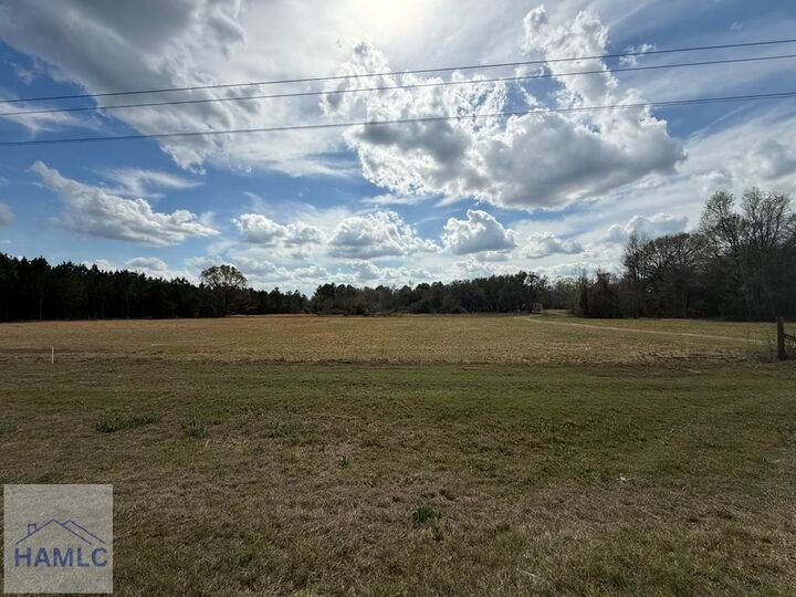 Property Photo:  997 Darwell Long Road NE  GA 31316 