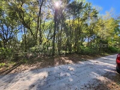 Property Photo:  Tbd SW 30 Street  FL 34481 